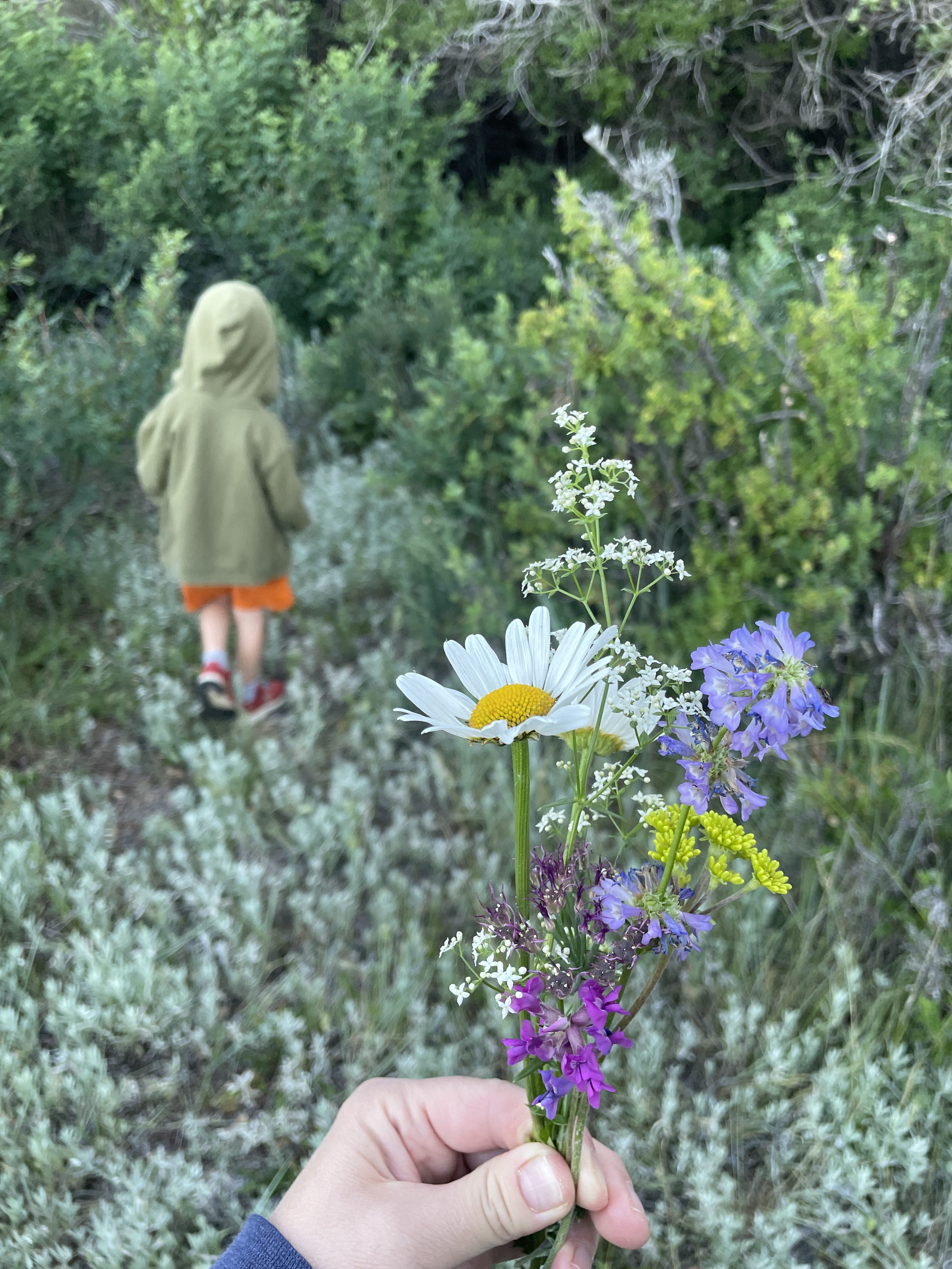 Welcome to my Digital Garden