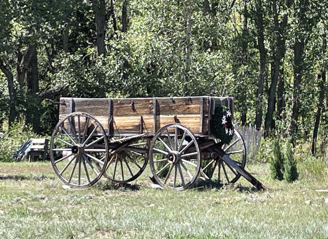 A wooden wagon with large wheels, positioned on grassy terrain surrounded by trees.