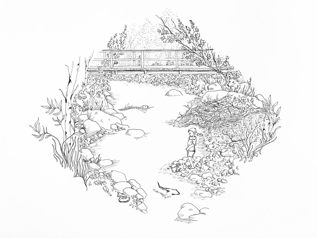 An illustrated scene of a riverbank featuring a stone footbridge, rocks, plants, and a child standing by the water's edge, capturing a peaceful, natural setting.